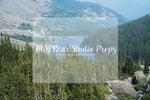 Forest Mountains - Lilly Bear Studio Props, camping, forest, little wild one, mountain forest, mountains, pine forest, pine tree forest, pine tree mountain, wild one
