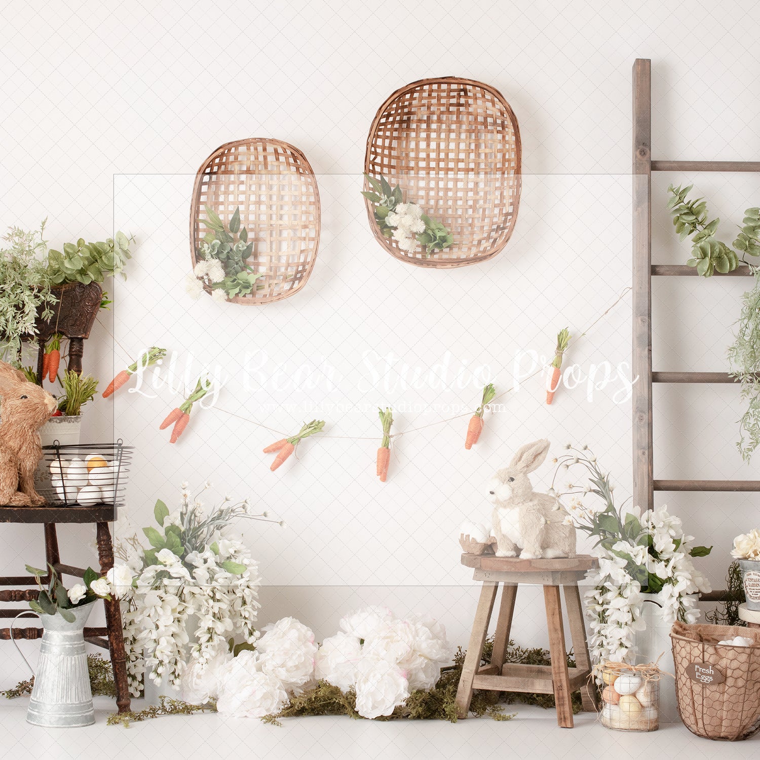 Fresh Eggs & Carrots