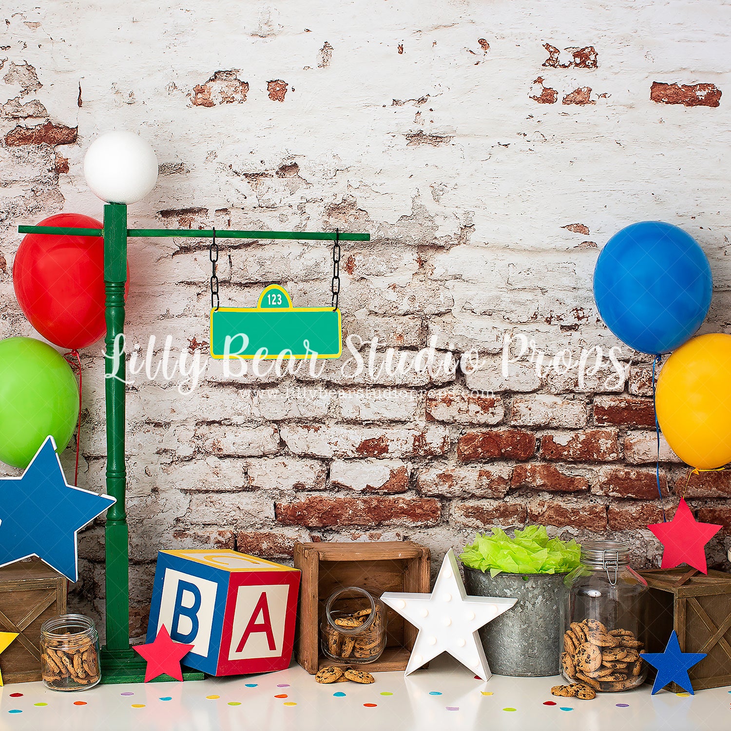 Friendly Street by Anything Goes Photography sold by Lilly Bear Studio Props, big bird - burt - cookie monster - cookie