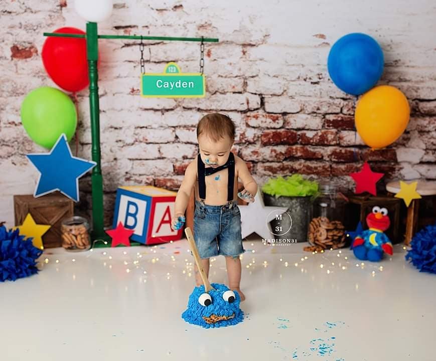 Friendly Street by Anything Goes Photography sold by Lilly Bear Studio Props, big bird - burt - cookie monster - cookie