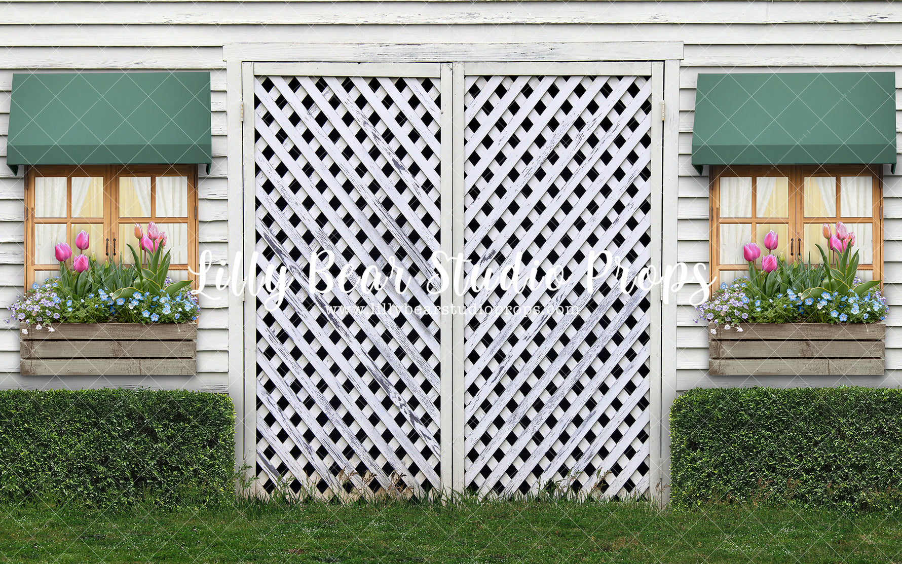 Garden Shed - Box wood - Lilly Bear Studio Props, awning, awnings, barn doors, barndoors, boxwood bush, bush, bushes, door, door wall, doors, doorway, exposed brick, FABRICS, floral garden, flower garden, garden, garden entry, garden shed, garden tea party, girls, grass, pink flowers, primary doors, rustic door, shed, spring, spring garden, spring window, springtime, trellis, trellis door, trellis doors, tulip, tulips, white barn, white doors, white siding, white wood, white wood siding, window, wood doors