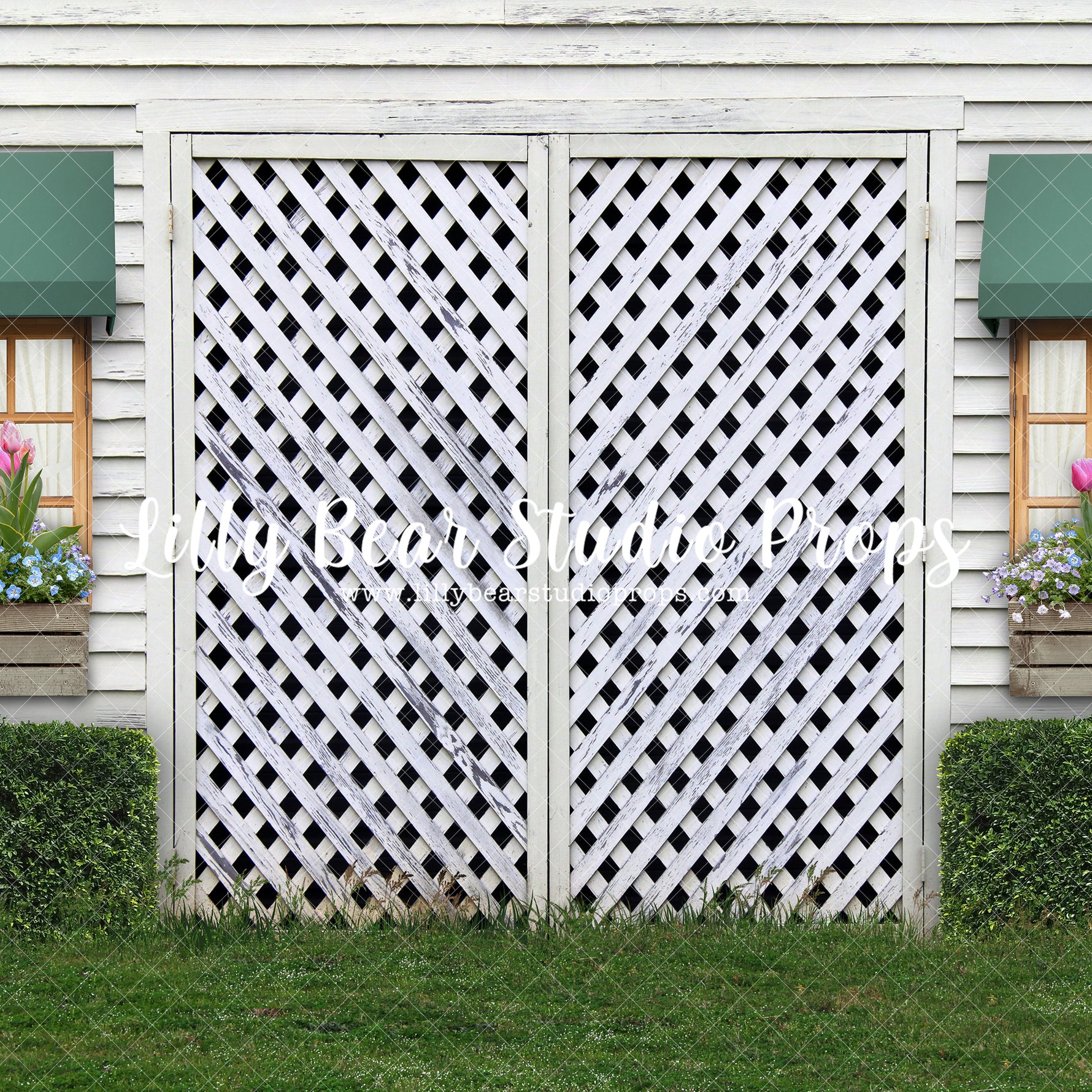 Garden Shed - Box wood - Lilly Bear Studio Props, awning, awnings, barn doors, barndoors, boxwood bush, bush, bushes, door, door wall, doors, doorway, exposed brick, FABRICS, floral garden, flower garden, garden, garden entry, garden shed, garden tea party, girls, grass, pink flowers, primary doors, rustic door, shed, spring, spring garden, spring window, springtime, trellis, trellis door, trellis doors, tulip, tulips, white barn, white doors, white siding, white wood, white wood siding, window, wood doors