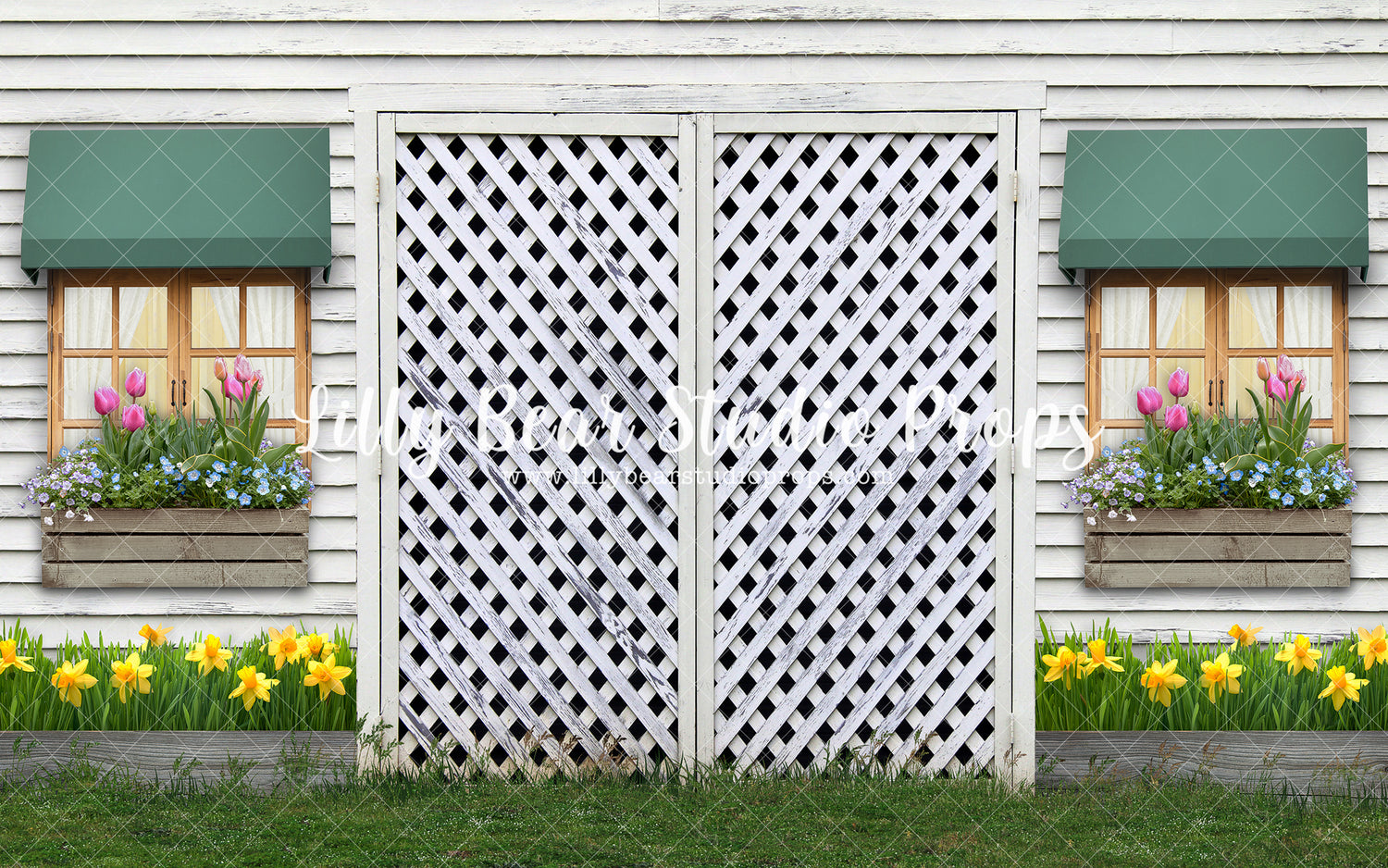 Garden Shed - Daffodil Box