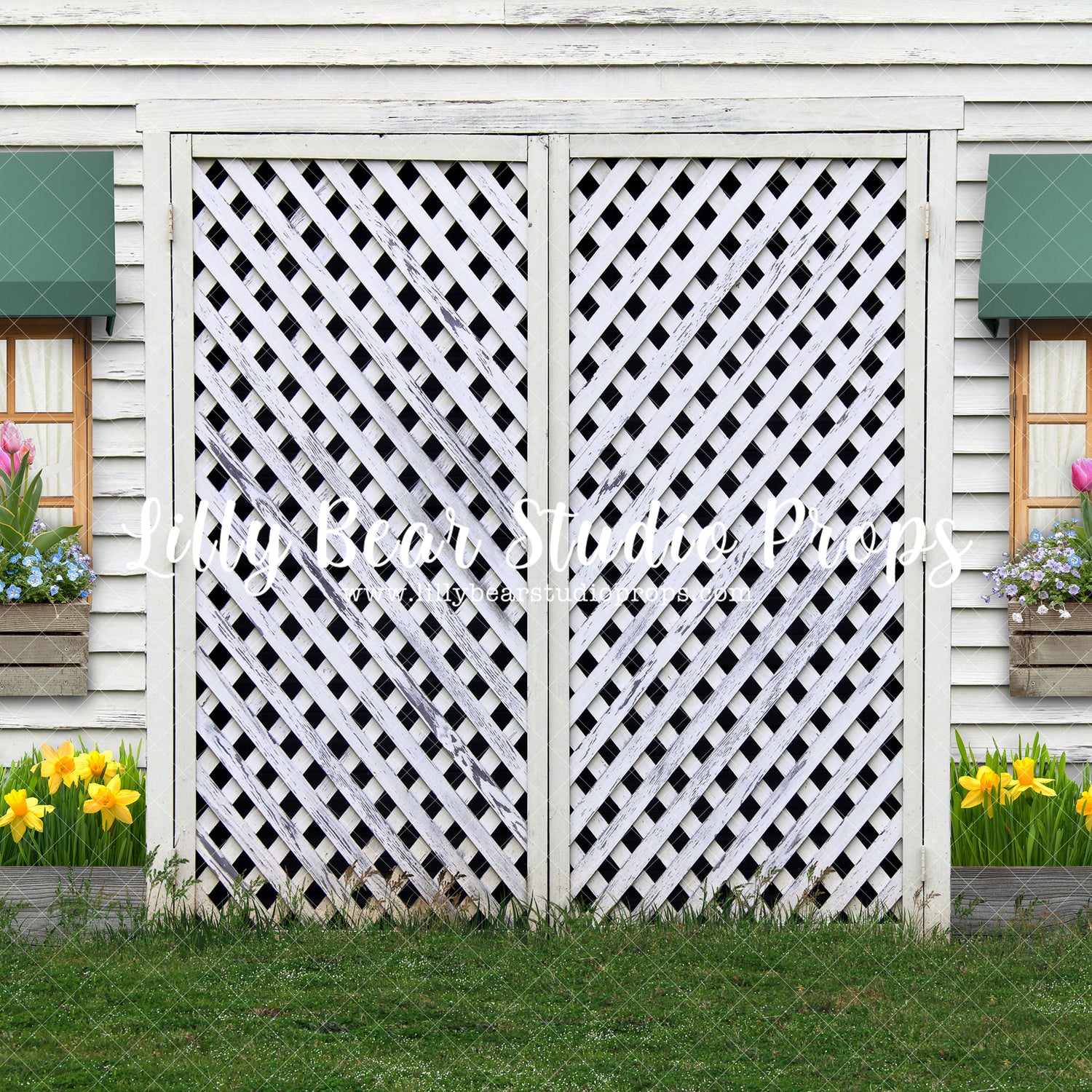Garden Shed - Daffodil Box