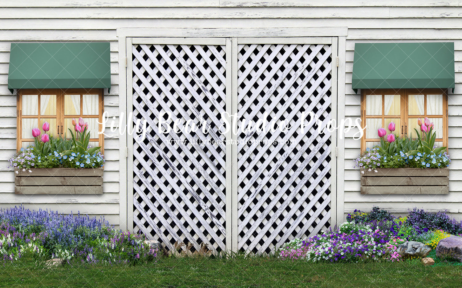 Garden Shed - Rock Garden