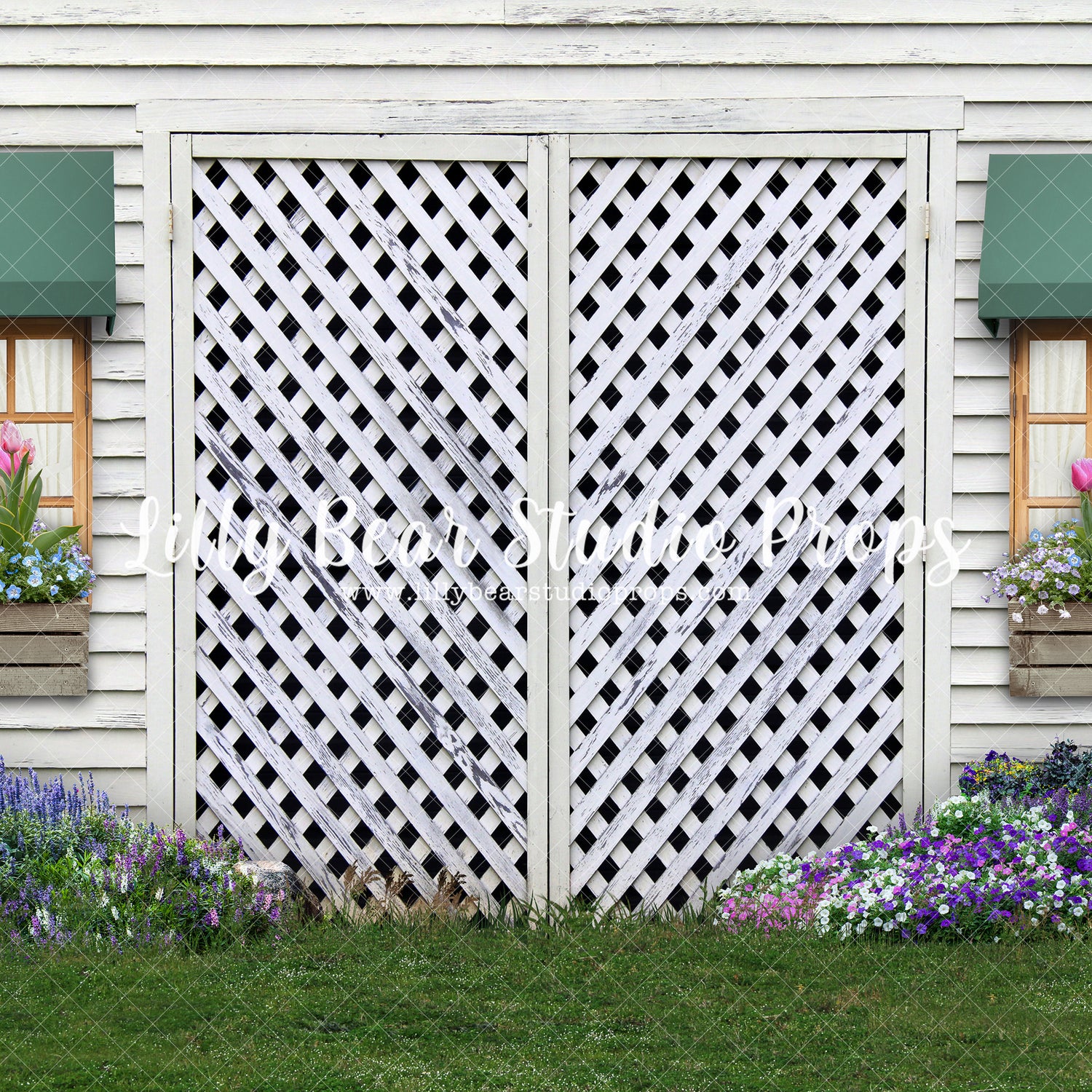 Garden Shed - Rock Garden