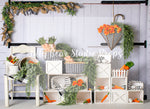 Gingham Spring - Lilly Bear Studio Props, bunny garden, bunny one, bunny trail, carrot, carrot garden, carrots, easter bunny, FABRICS, flower barn doors, flower garden, some bunny is one, some bunny's one, spring, spring garden, white barn, white barn wood