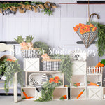 Gingham Spring - Lilly Bear Studio Props, bunny garden, bunny one, bunny trail, carrot, carrot garden, carrots, easter bunny, FABRICS, flower barn doors, flower garden, some bunny is one, some bunny's one, spring, spring garden, white barn, white barn wood