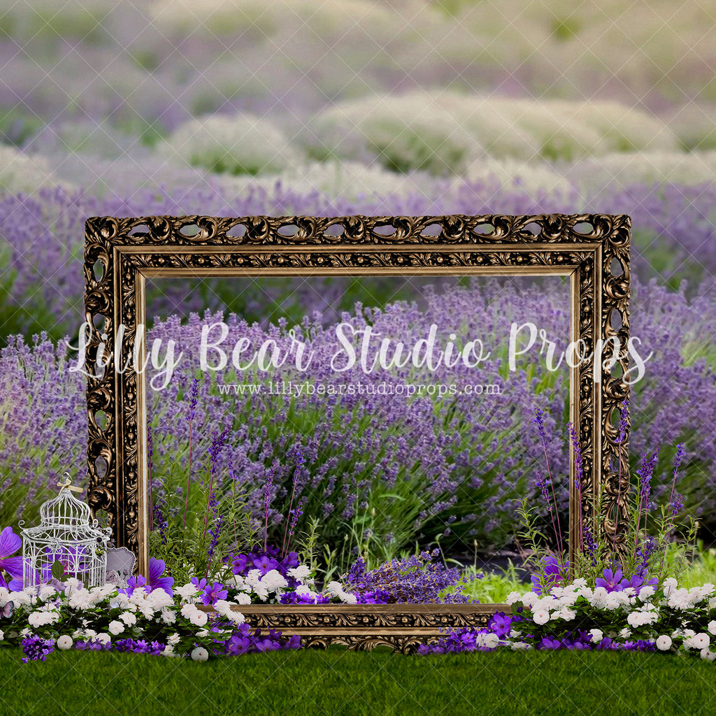 Gold Framed Lavender Fields - Lilly Bear Studio Props, bird cage, Fabric, FABRICS, floral, floral garden, flower field, frame, garden, gold, gold frame, lavender field, purple flowers, spring flowers, summer field, summer flowers