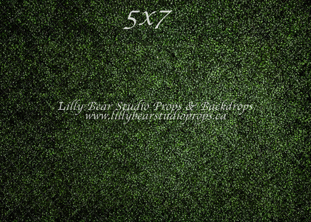 Grassy Green Neoprene - Lilly Bear Studio Props, FLOORS, grass, green, LB Pro, LB Pro Floor, lb-pro-floor foldable floor, mat, mat floors, pro floor, pro floordrop, spring