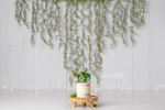 Greenery Garland on White Wood - Lilly Bear Studio Props, fabric, fine art, girls, green garland, koala, poly, simple garland, spanish moss, vinyl, white wood, white wood plank, white wood planks, Wrinkle Free Fabric