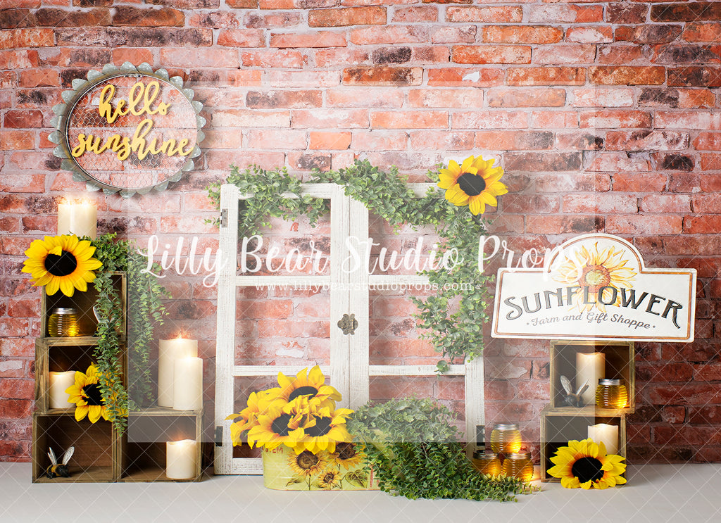 Hello Sunflower Shine - Lilly Bear Studio Props, FABRICS, flower barn doors, flower garden, spring, spring garden, sunflower, sunflower garden
