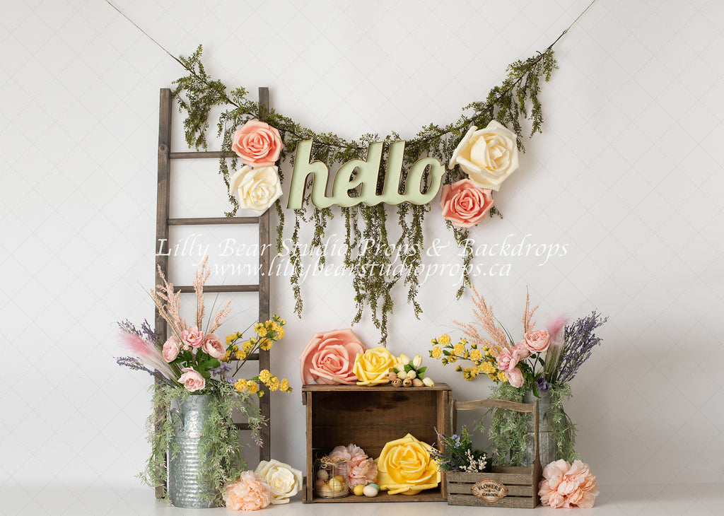 HELLO Spring by Amber Costa Photography sold by Lilly Bear Studio Props, balloons - boho - boys - cake smash - easter