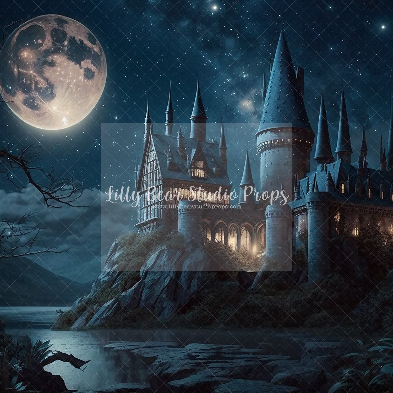 HP School Moonlight