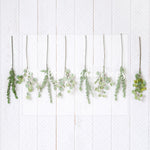 Hanging Eucalyptus - Lilly Bear Studio Props, australia, eucalyptus, eucalyptus balloon, eucalyptus birthday, eucalyptus garden, girls, hanging branches, hanging eucalyptus, hanging greenery, Wrinkle Free Fabric