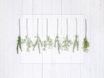 Hanging Eucalyptus - Lilly Bear Studio Props, australia, eucalyptus, eucalyptus balloon, eucalyptus birthday, eucalyptus garden, girls, hanging branches, hanging eucalyptus, hanging greenery, Wrinkle Free Fabric