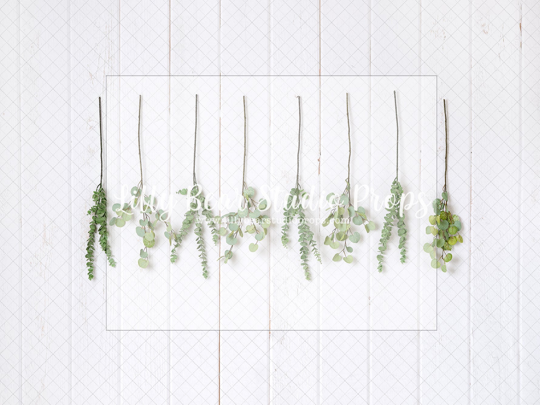 Hanging Eucalyptus - Lilly Bear Studio Props, australia, eucalyptus, eucalyptus balloon, eucalyptus birthday, eucalyptus garden, girls, hanging branches, hanging eucalyptus, hanging greenery, Wrinkle Free Fabric