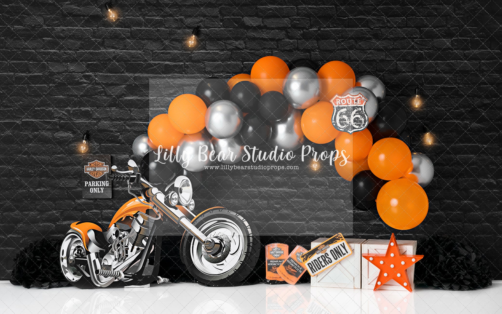 Bol Productions 6503LRSKY Motorcycle, Harley Davidson Picture Frame, Lets  Ride Sky by Personally Yours : : Car & Motorbike