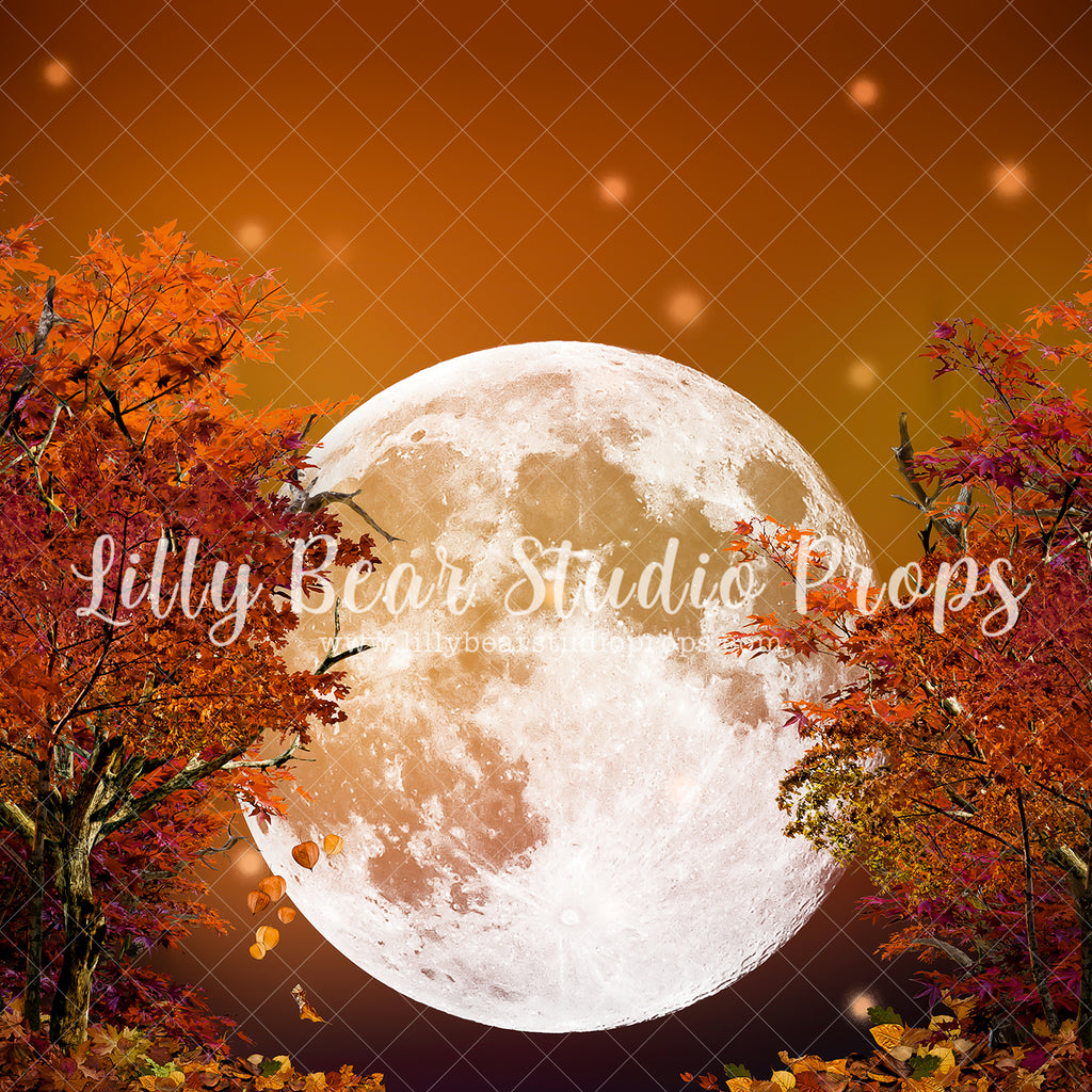 Harvest Moon - Lilly Bear Studio Props, autumn leaves, creepy halloween, dark moon, Fabric, FABRICS, fall leaves, falling leaves, full moon, glowing moon, Goodnight moon, halloween, halloween haunt, halloween mini, halloween night, haunted, moon, moonlight, moonlight forest, night moon, pumpkins, scary halloween, scary house, spooky door, spooky halloween, spooky house