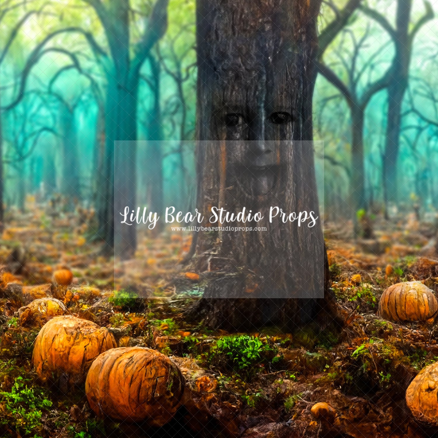 Haunted Forest