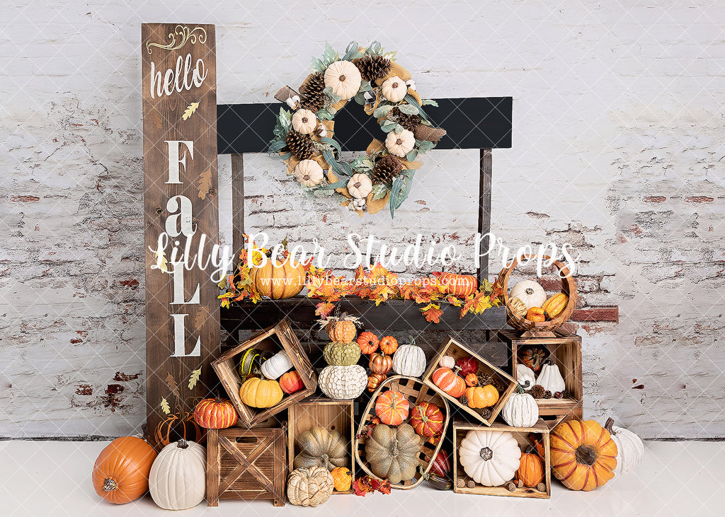 Hello Fall by Meagan Paige Photography sold by Lilly Bear Studio Props, autumn - autumn colors - autumn colours - autum