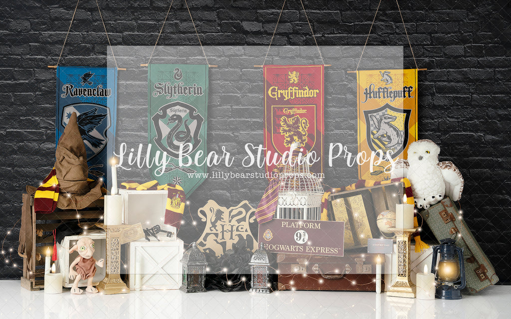 Hogwarts and Potter - Lilly Bear Studio Props, gryffindor, harry potter, hogwarts, hufflepuff, magic wizard, ravenclaw, slytherin, wizard library, wizard school, wizard's spells, wizardry