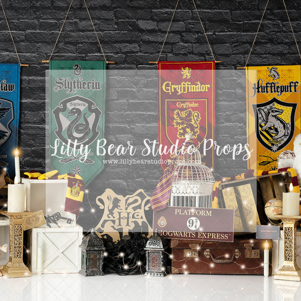 Hogwarts and Potter - Lilly Bear Studio Props, gryffindor, harry potter, hogwarts, hufflepuff, magic wizard, ravenclaw, slytherin, wizard library, wizard school, wizard's spells, wizardry