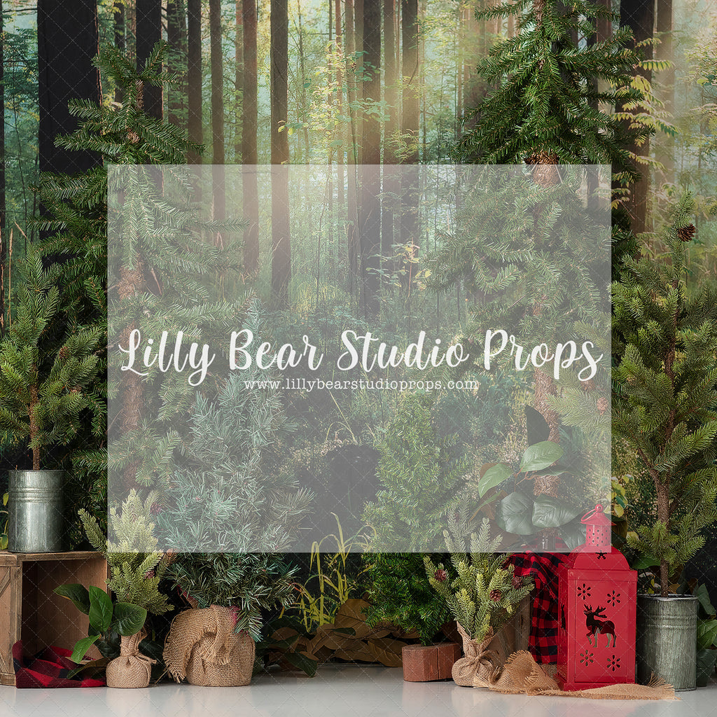 Holiday Camp Grounds - Lilly Bear Studio Props, christmas, Cozy, Decorated, Festive, Giving, Holiday, Holy, Hopeful, Joyful, Merry, Peaceful, Peacful, Red & Green, Seasonal, Winter, Xmas, Yuletide