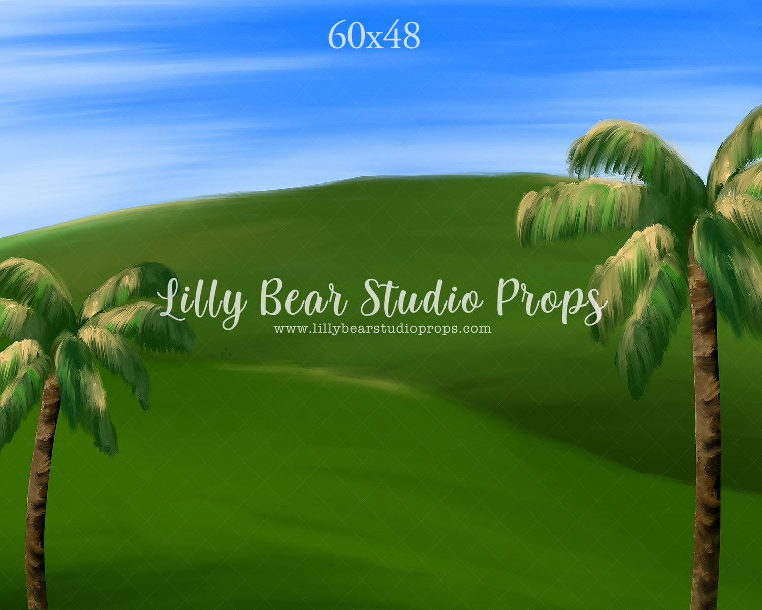 Hollywood Hills by Jessica Ruth Photography sold by Lilly Bear Studio Props, autumn - boys - cake smash - fabric - fall
