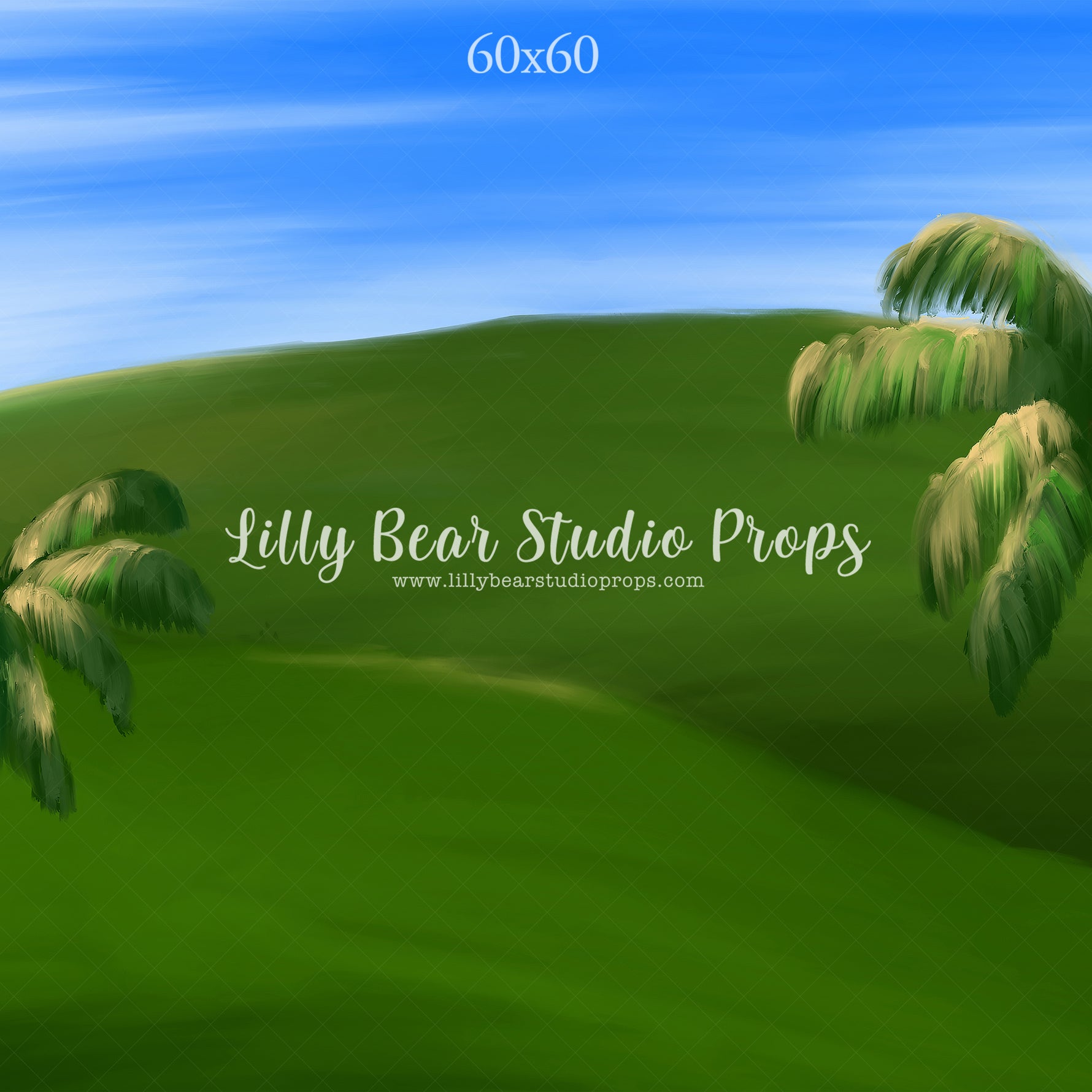 Hollywood Hills by Jessica Ruth Photography sold by Lilly Bear Studio Props, autumn - boys - cake smash - fabric - fall