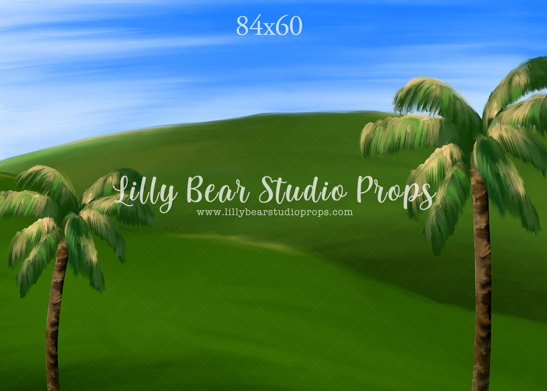 Hollywood Hills by Jessica Ruth Photography sold by Lilly Bear Studio Props, autumn - boys - cake smash - fabric - fall