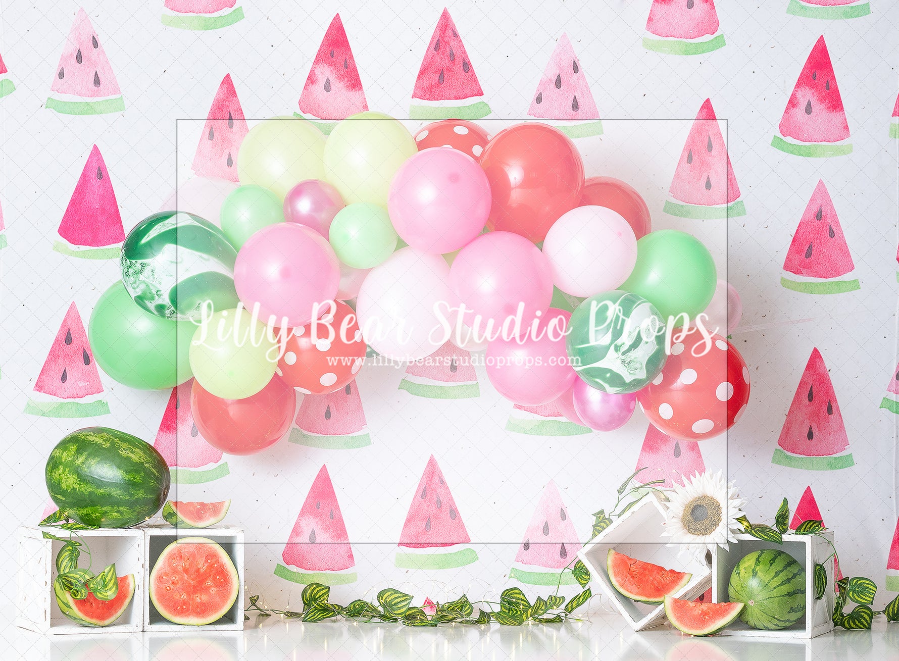 I Came in like a Melon Ball by Jennifer Sutsser - Lilly Bear Studio Props, watermelon, watermelon garland, watermelon pink and green, watermelon seeds, watermelon slices, watermelon sugar high, watermelons