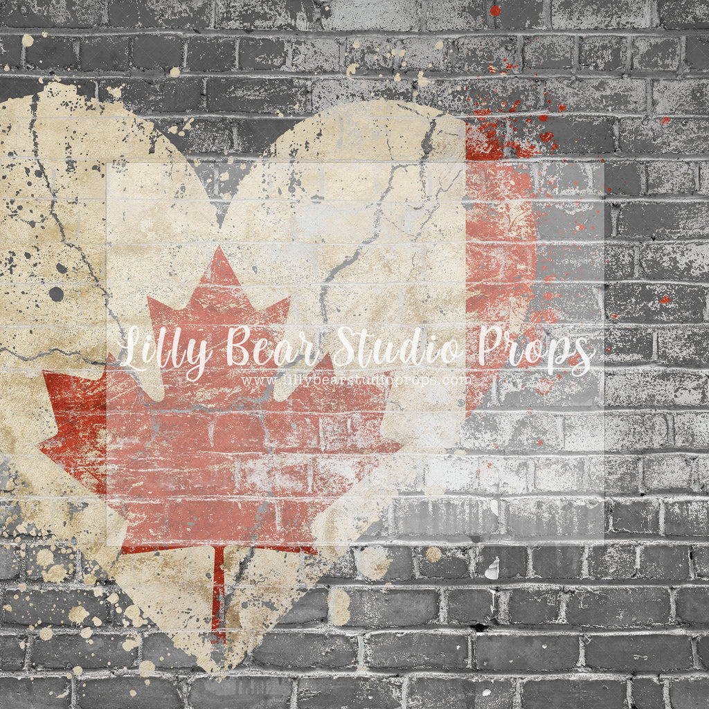 In North We Trust - Lilly Bear Studio Props, brick, Brick Wall, canada flag, canada heart, canadian, flag, maple leaf