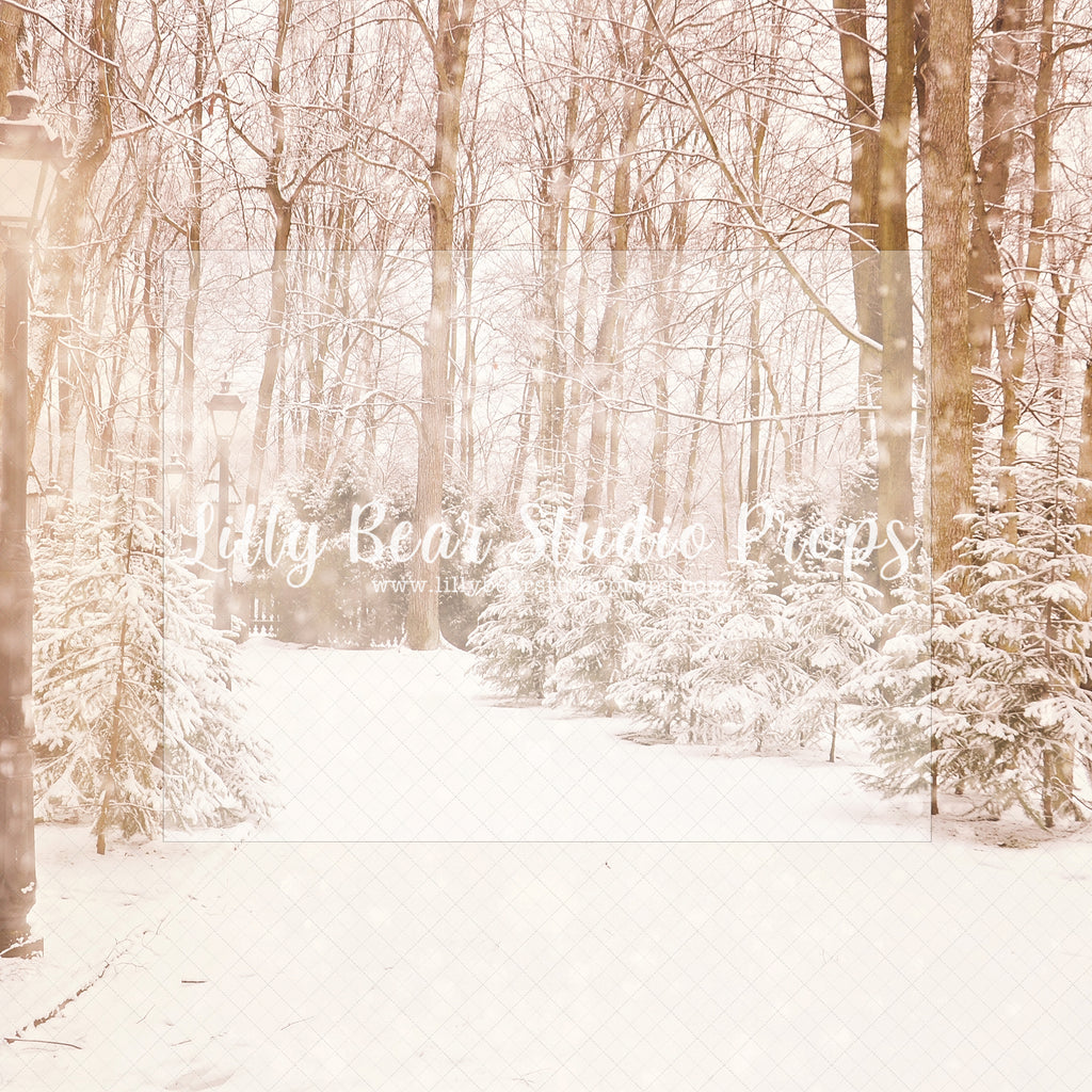 Into Narnia - Lilly Bear Studio Props, christmas, Cozy, Decorated, Festive, Giving, Holiday, Holy, Hopeful, Joyful, Merry, Peaceful, Peacful, Red & Green, Seasonal, Winter, Xmas, Yuletide
