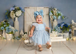 Blue Belle by Sweet Little Blessings - Lilly Bear Studio Props, belle, blue, blue belle, blue floral, blue flower, blue flowers, blush roses, blushing, butterflies, butterfly, butterfly flowers, butterfly garden, FABRICS, floral, floral doors, flower garden, girl, paper butterflies, paper flower wall, paper flowers, pastel pink flowers, pink butterflies, pink butterfly, pink flowers, pink rose, pink roses, white barn doors, white doors, windows
