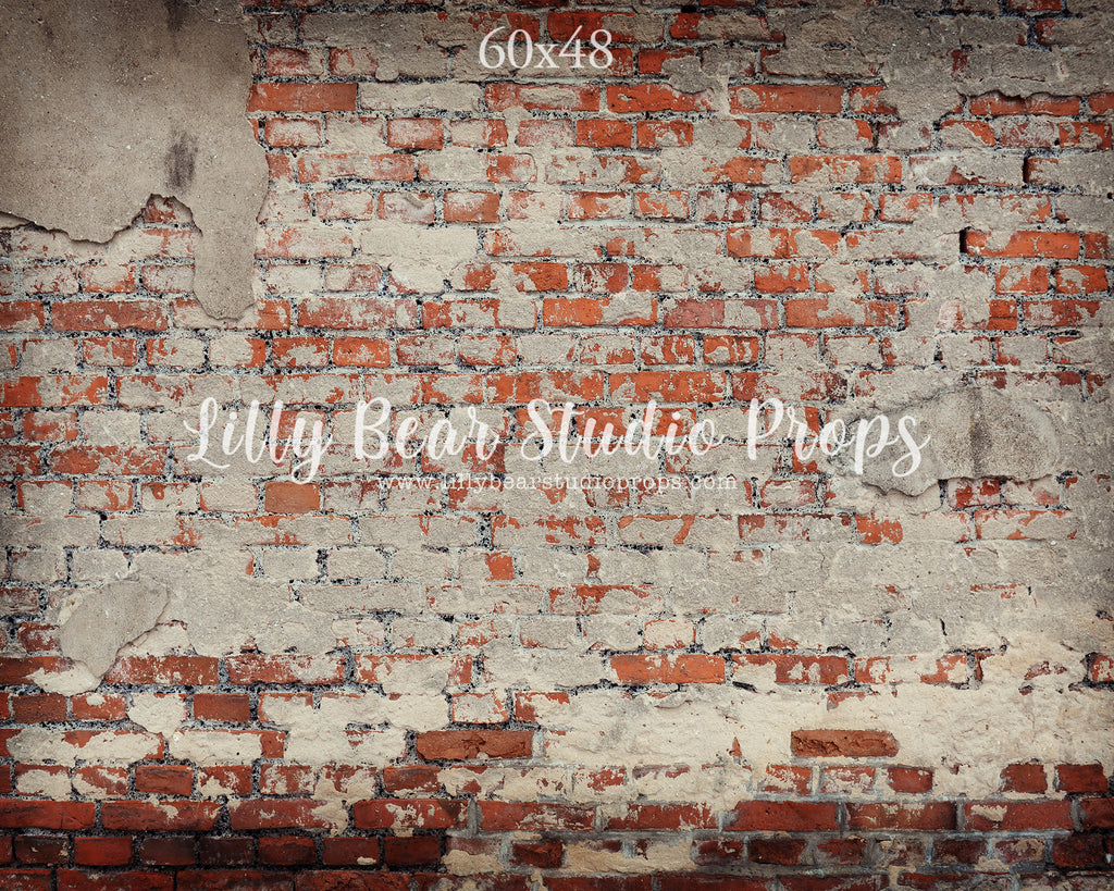 Jersey Brick Wall by Lilly Bear Studio Props sold by Lilly Bear Studio Props, brick - Brick Wall - cracked brick wall