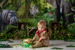 Jumanji - Lilly Bear Studio Props, animals, baby jungle, dessert island, elephant, hippo, into the jungle, island, island jungle, jumanji, jungle, jungle animals, jungle island, jungle leaves, jungle stripes, safari, snake, tiger, welcome to the jungle