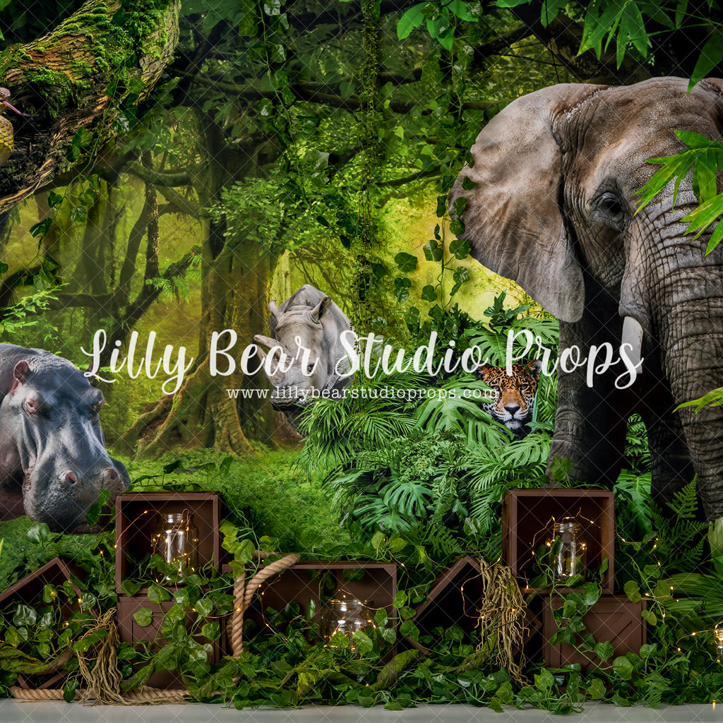 Jumanji - Lilly Bear Studio Props, animals, baby jungle, dessert island, elephant, hippo, into the jungle, island, island jungle, jumanji, jungle, jungle animals, jungle island, jungle leaves, jungle stripes, safari, snake, tiger, welcome to the jungle