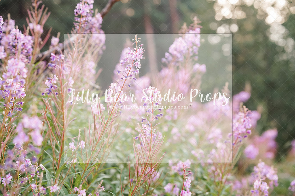 Lavender Blooms - Lilly Bear Studio Props, floral, flower grass