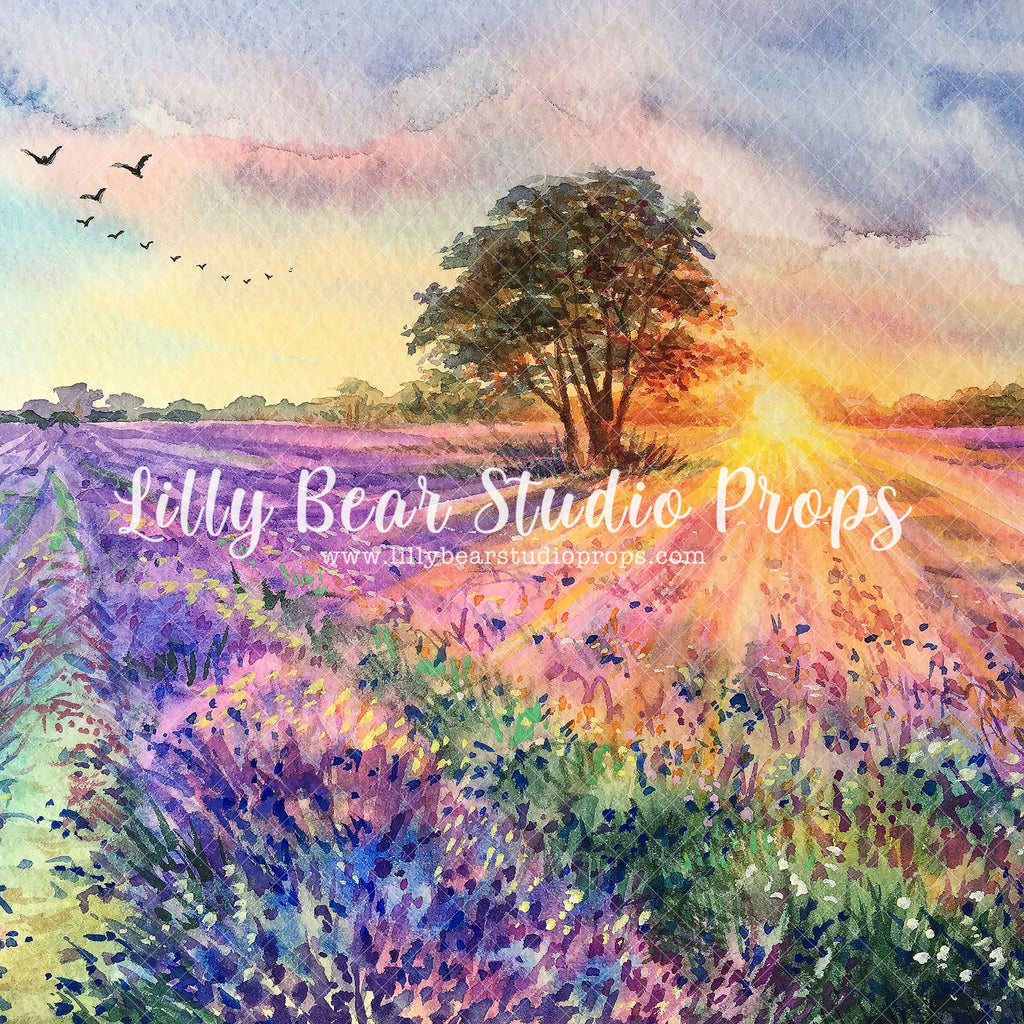 Lavender Field by Lilly Bear Studio Props sold by Lilly Bear Studio Props, blue floral - blue flower - blue flowers - b
