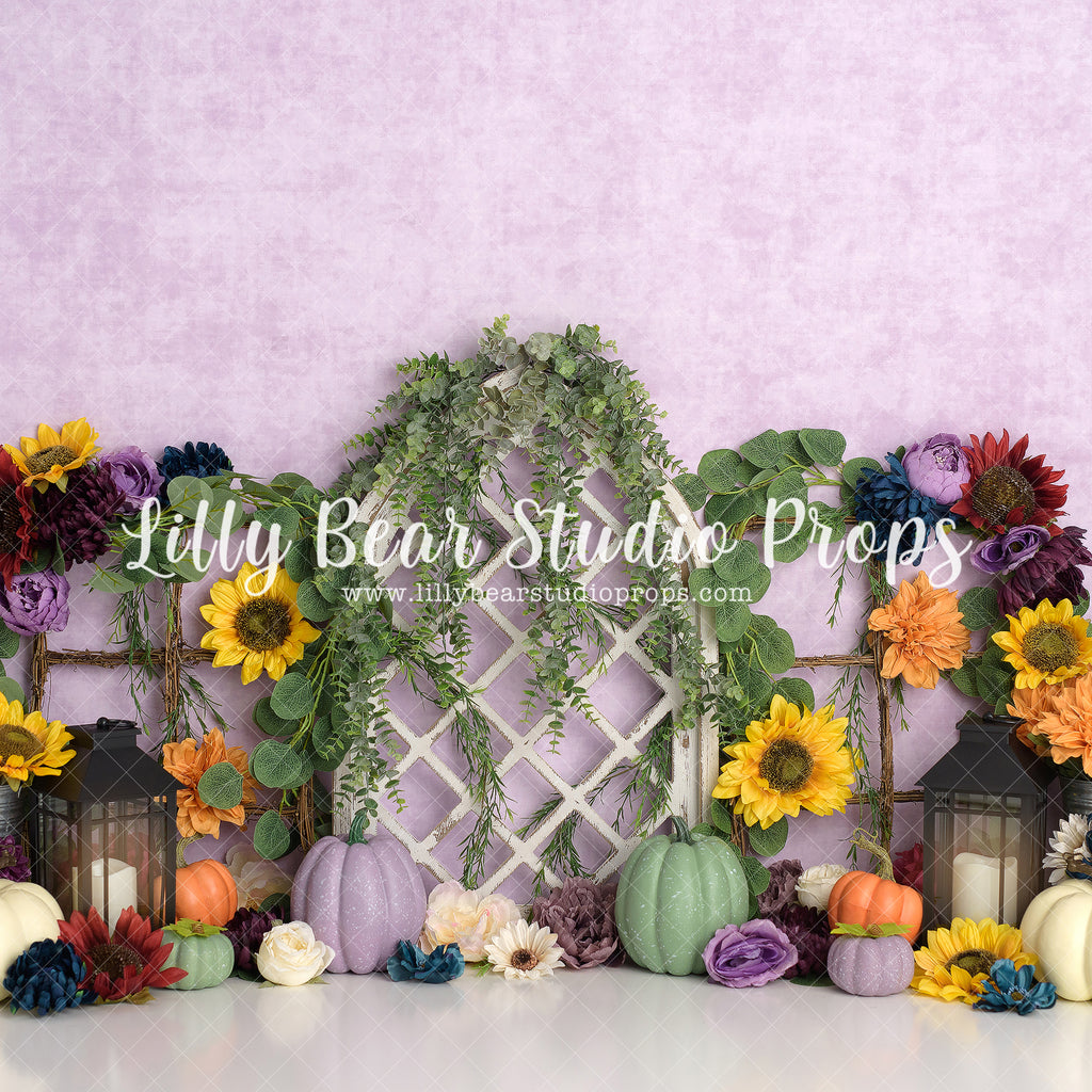 Lavender Pumpkin Farm by Sweet Memories Photos By Carolyn sold by Lilly Bear Studio Props, autumn - autumn flowers - bo