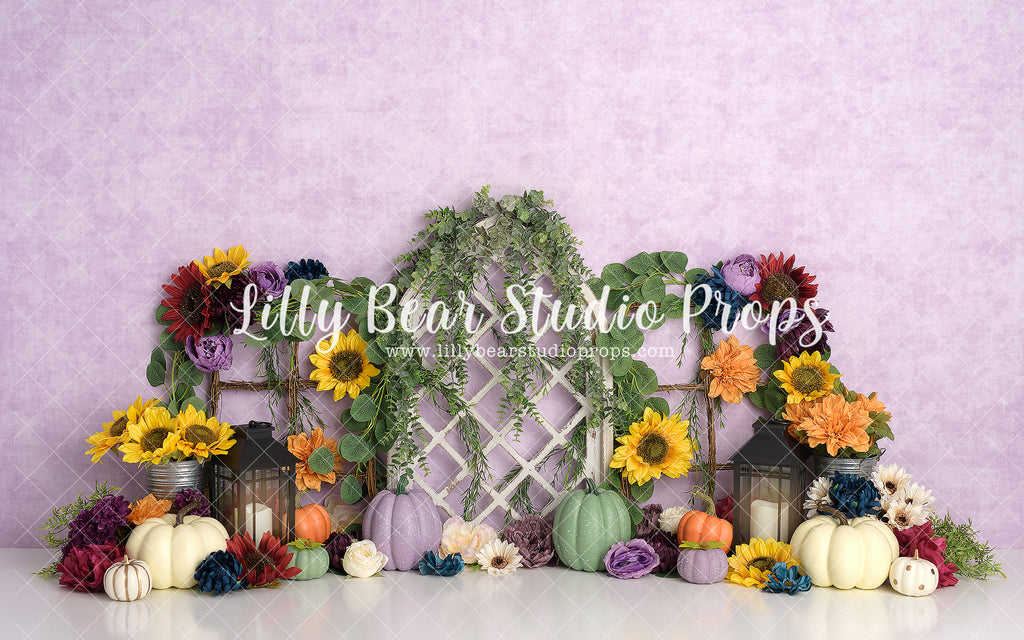 Lavender Pumpkin Farm by Sweet Memories Photos By Carolyn sold by Lilly Bear Studio Props, autumn - autumn flowers - bo