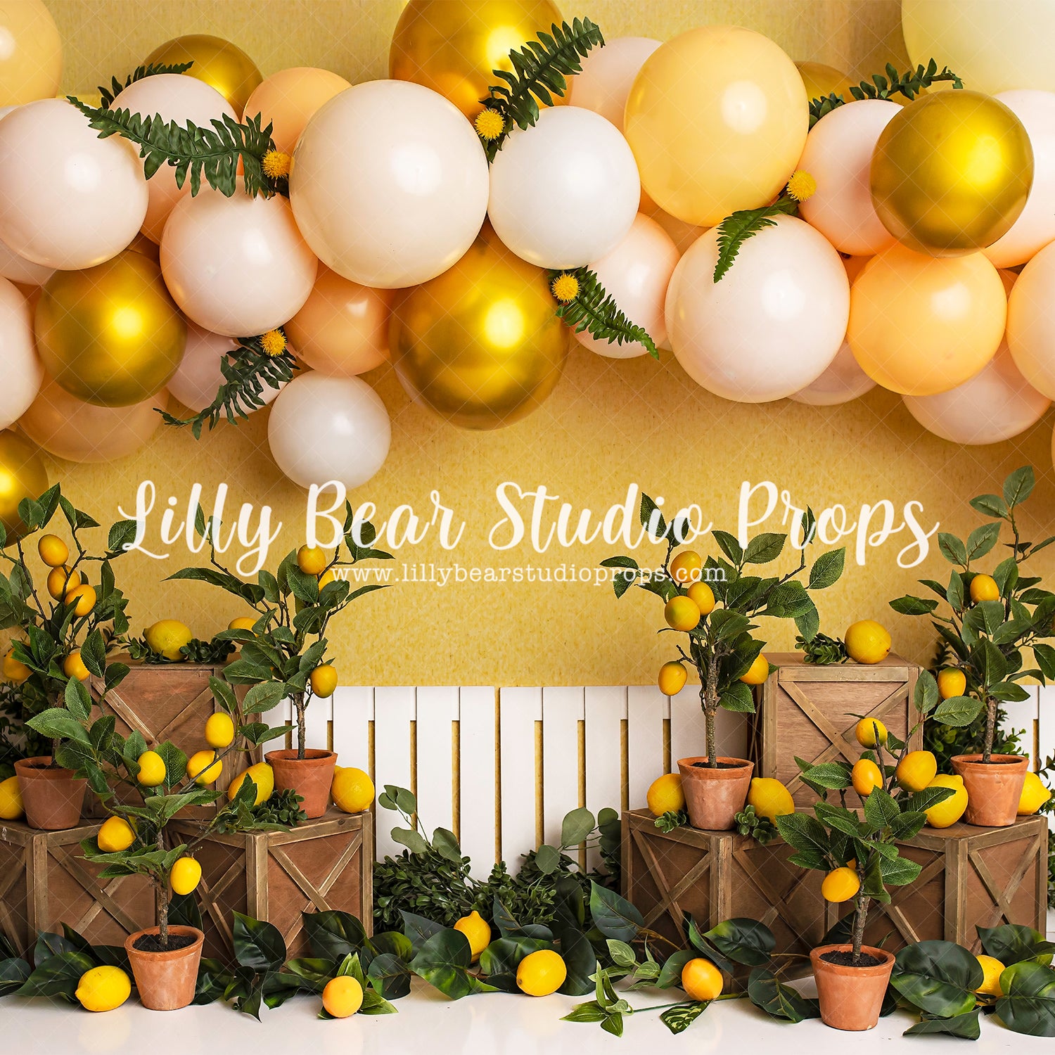 Lemon Delight by Brittany Ebany & Co. sold by Lilly Bear Studio Props, fence - lemon - lemon balloon - lemon garden - l