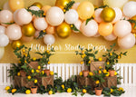 Lemon Delight by Brittany Ebany & Co. sold by Lilly Bear Studio Props, fence - lemon - lemon balloon - lemon garden - l