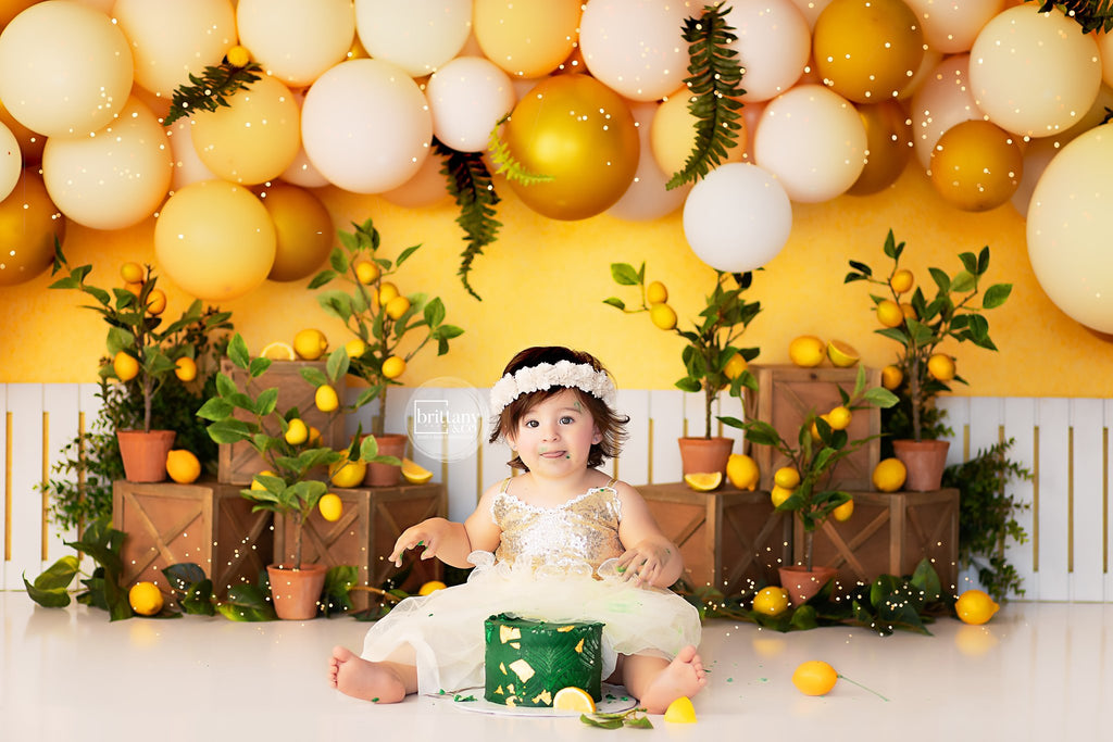 Lemon Delight by Brittany Ebany & Co. sold by Lilly Bear Studio Props, fence - lemon - lemon balloon - lemon garden - l