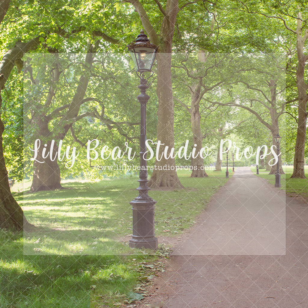 Let's Take a Stroll - Lilly Bear Studio Props, center park, Fabric, FABRICS, flower spring, garden, london, paris, parisian, park, pink tulips, spring, tulip, Wrinkle Free Fabric