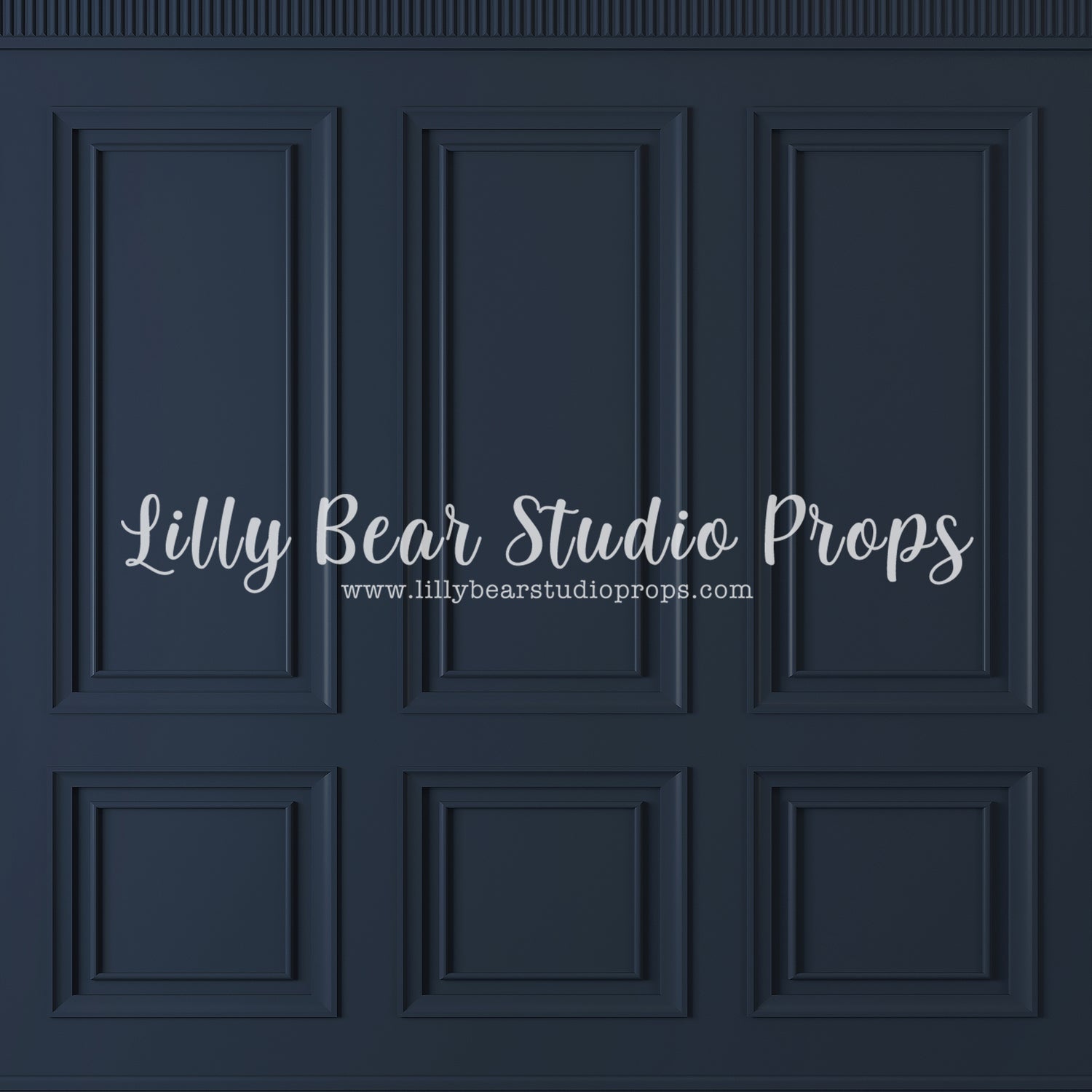 Library Wall by Lilly Bear Studio Props sold by Lilly Bear Studio Props, black vintage wall - black wainscotting - blac