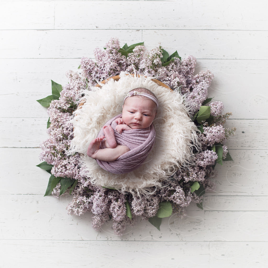 Lilac Bowl with Fur Digital Backdrop - Lilly Bear Studio Props, bowl, digital, digital backdrop, floral, fur, greenery, lace, lilac, newborn digital backdrop, pink, purple, wood