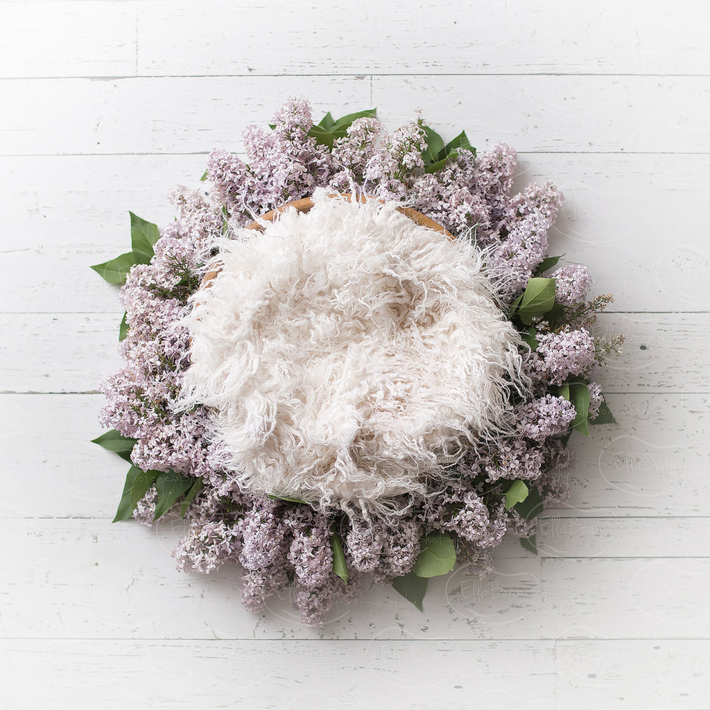 Lilac Bowl with Fur Digital Backdrop - Lilly Bear Studio Props, bowl, digital, digital backdrop, floral, fur, greenery, lace, lilac, newborn digital backdrop, pink, purple, wood