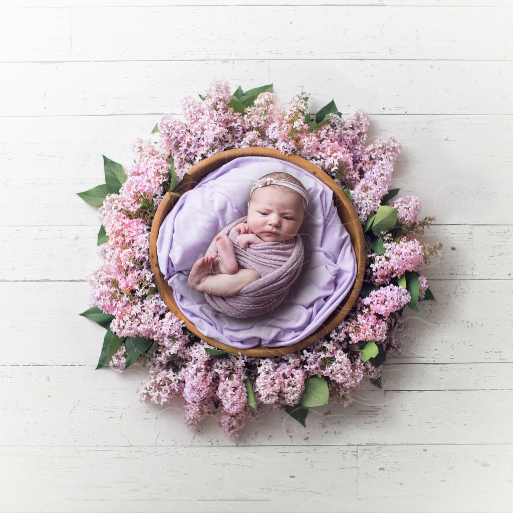 Lavandula Light Pink Bowl Digital Backdrop - Lilly Bear Studio Props, bowl, digital, digital backdrop, floral, greenery, lace, lilac, newborn digital backdrop, pink, purple, wood